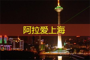 上海论坛献上最新研究成果：引领城市创新！